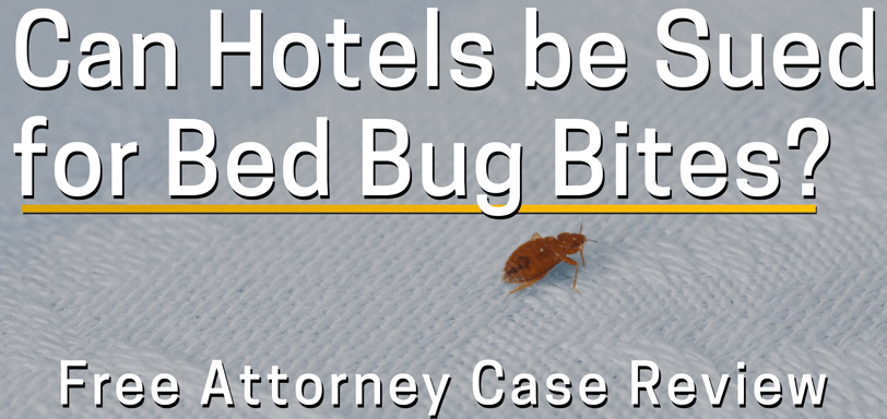 Can You Sue a Hotel for Bed Bugs