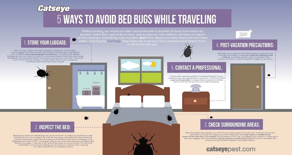 How Do Hotels Prevent Bed Bugs