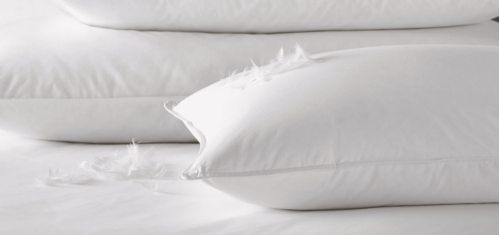 What Pillows Do Hilton Hotels Use