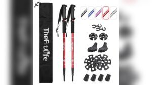 Best Anti Shock Trekking Pole