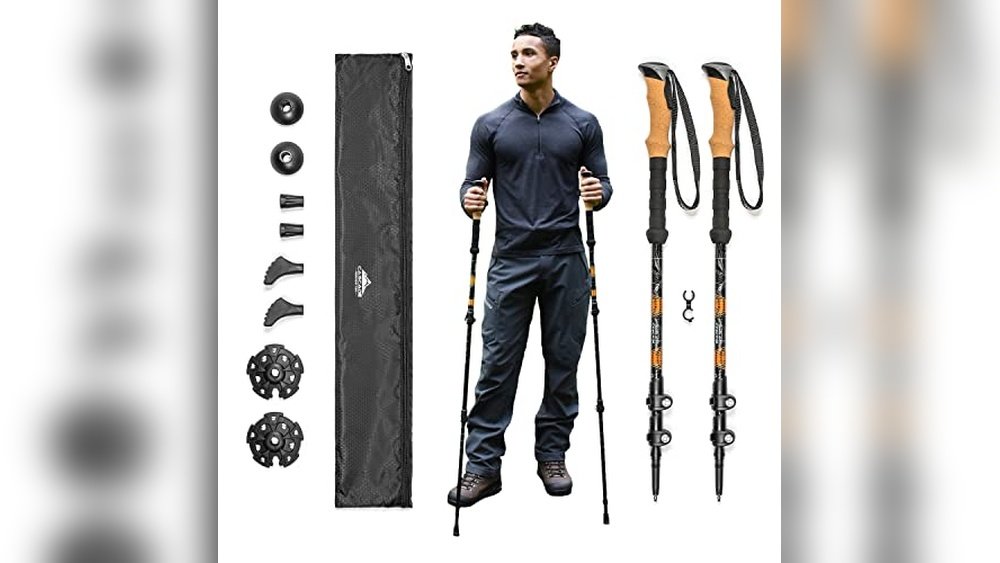 Best Backpacking Trekking Poles
