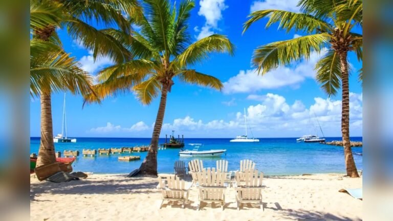 When is the Best Time to Travel to Punta Cana: Ultimate Guide 2026