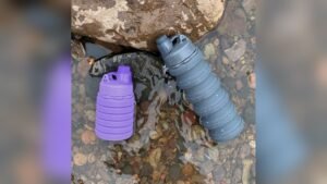 Best Lightweight Water Bottle for Travel 2026: Top Picks Reviewed