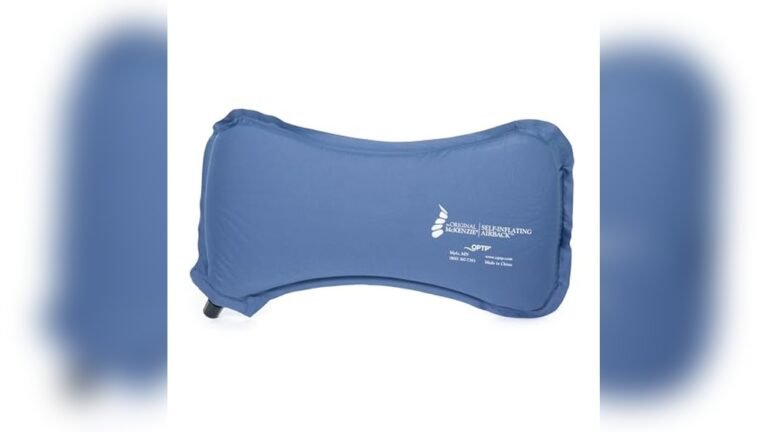 Best Lumbar Support Pillow for Air Travel 2026: Top Picks Reviewed