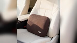 Best Travel Pillow for Back Pain 2026: Top Comfort Picks Reviewed