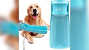 Best Travel Water Bottle for Dogs 2026: Top Picks for Easy Hydration