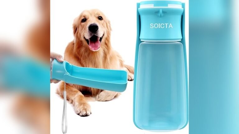 Best Travel Water Bottle for Dogs 2026: Top Picks for Easy Hydration