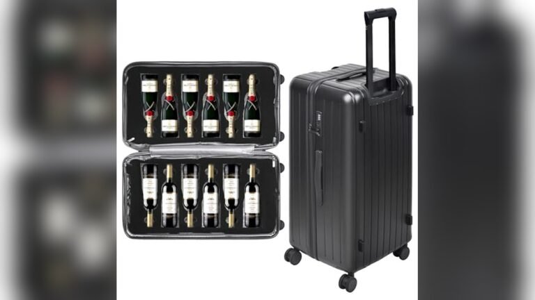 Best Wine Suitcase for Air Travel: Top Picks for 2026 Buyers